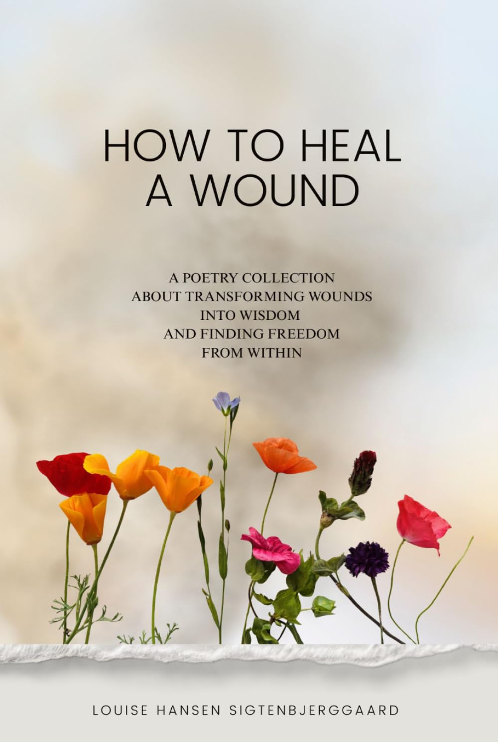 How to heal a wound: A poetry collection about transforming wounds into wisdom and finding freedom from within