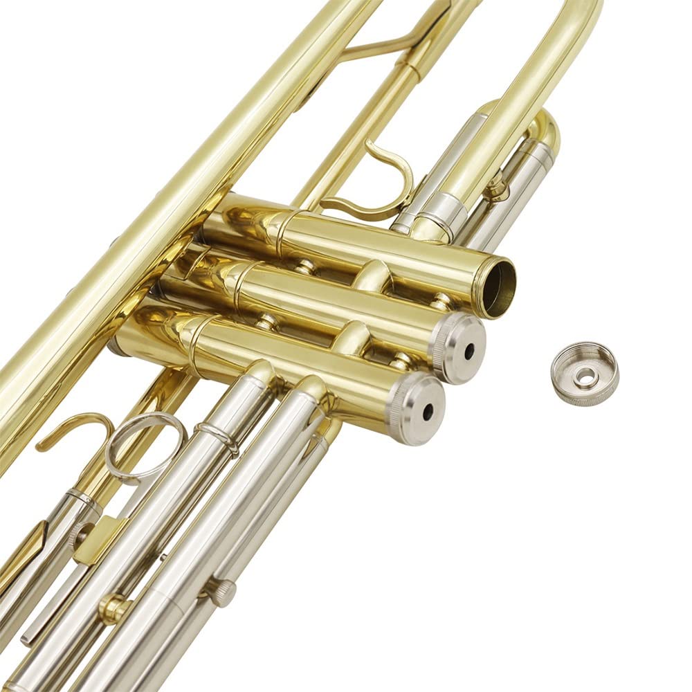 Amazon.co.jp: Bb 標準トランペット、金管楽器西洋管楽器、7C マウス