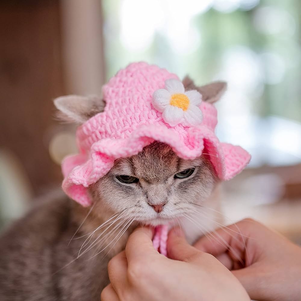 帽子 andwang Fluffy cat knit hat DSC04753_974be857-7770-40d7-