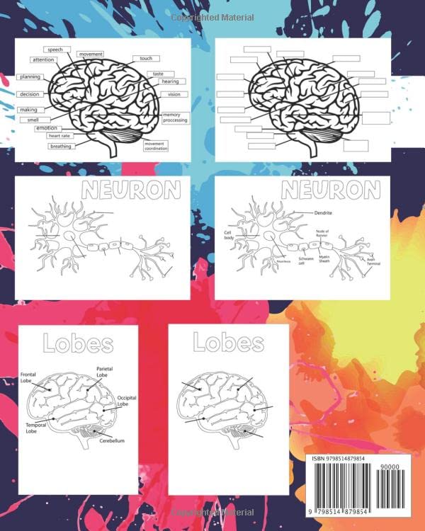 NEUROANATOMY COLORING AND ACTIVITY BOOK LEARNING HUMAN BRAIN ANATOMY FOR STUDENTS - Image 2