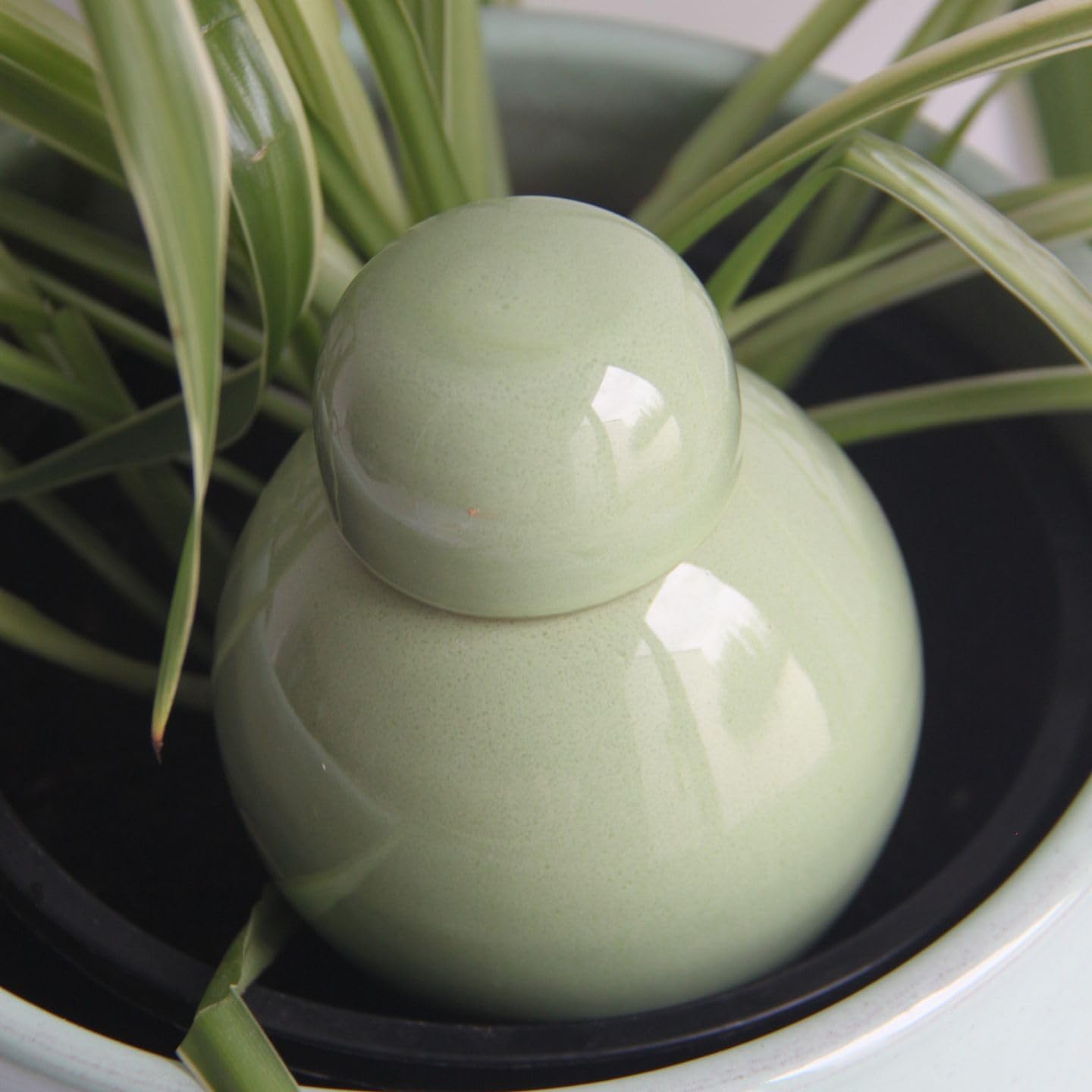 Ollas Lutton Olla Terre Cuite à Planter 40cl| Arrosage Autonome pour Plantes d'interrieur Ecologique & Economique | Système d'Irrigation Naturel | Autonomie 3 Jours | Ollas Sabeur Pistache