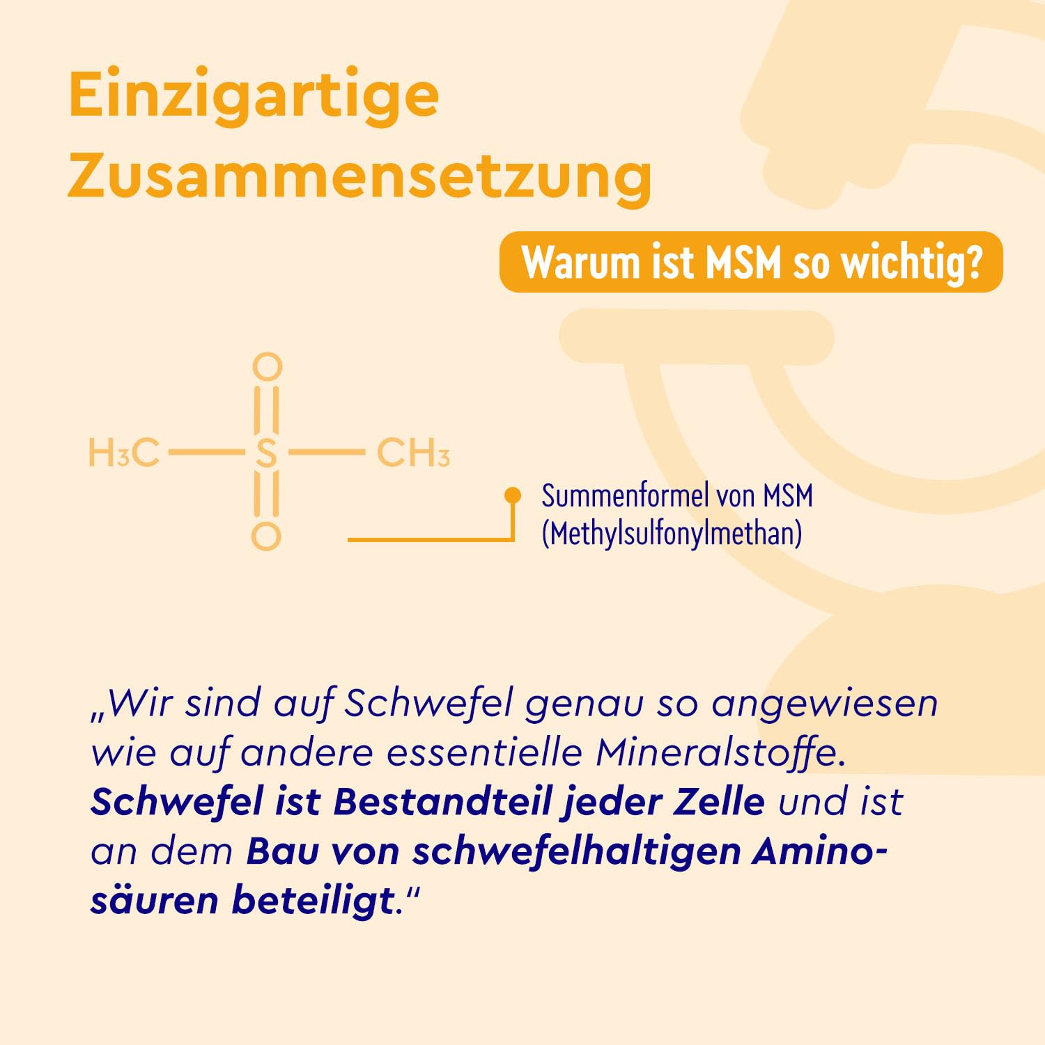 MSM Kapseln hochdosiert 365 Stück - 1600mg Methylsulfonylmethan (MSM) pro Tagesdosis - 99,9% reines MSM Pulver - vegan, laborgeprüft & ohne Zusätze in Deutschland hergestellt