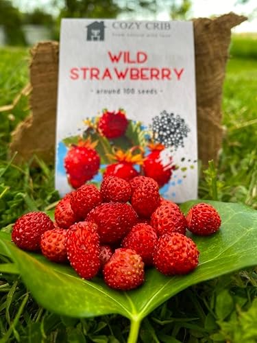 Miniatura 2 de Semillas dulces de fresa silvestre para plantar Fragaria Vesca Fraisier des Bois unas 100 semillas