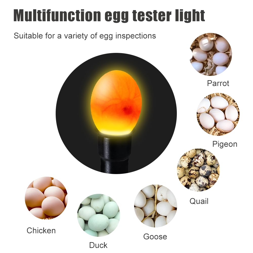 Incubatrice per uso domestico Controllo automatico della temperatura Mini uova digitali da cova Controllo automatico della temperatura Hatcher per polli, anatre, uccelli (9eggs)