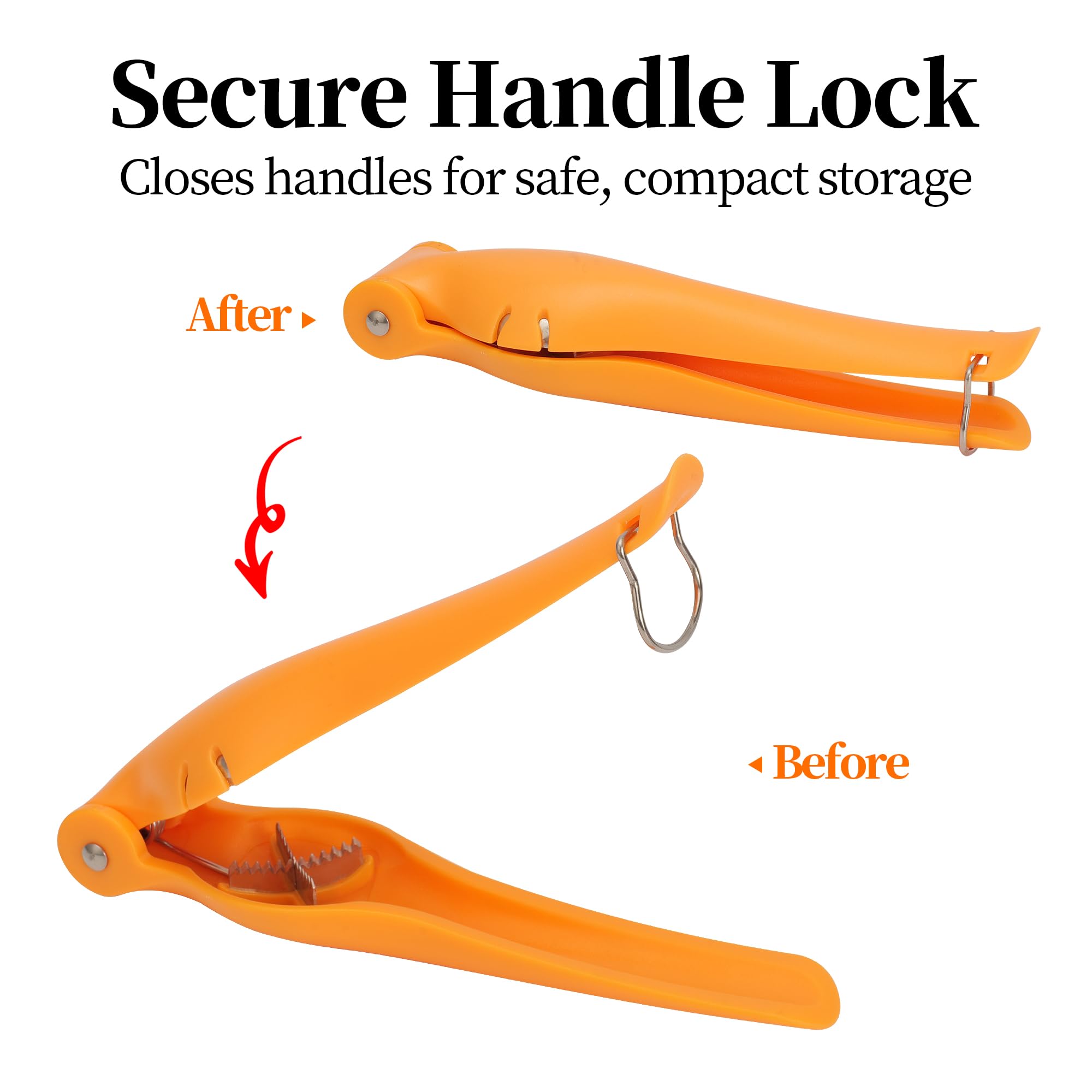 TJ POP Pelapatate per castagne, strumento durevole per tagliare castagne, clip portatile per castagne, nocciole, nocciole, nocciole, nocciole, nocciole, aprifrutta secca, utensile da cucina ergonomico