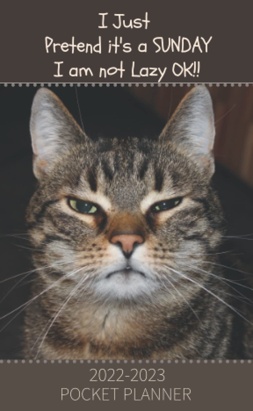 I Just Pretend It's A Sunday, I am not Lazy OK! 2022- 2023 Pocket Planner: 2 year Calendar Planner 2022-2023, Monthly Planner Journal small book for purse soft cover paperback