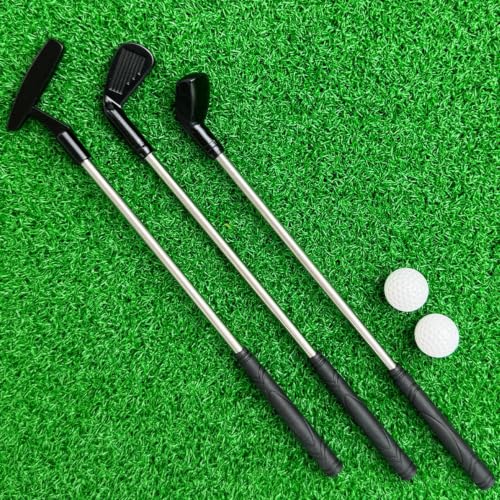 Xnihocha Desktop Tiny Stainless Golf Club Indoor Mini Putting Game Office Table Decor Present Silver One Size