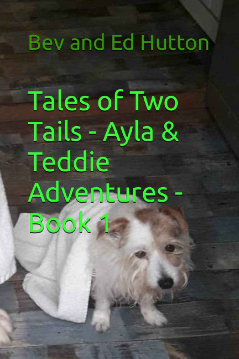 Tales of Two Tails - Ayla & Teddie Adventures - Book 1