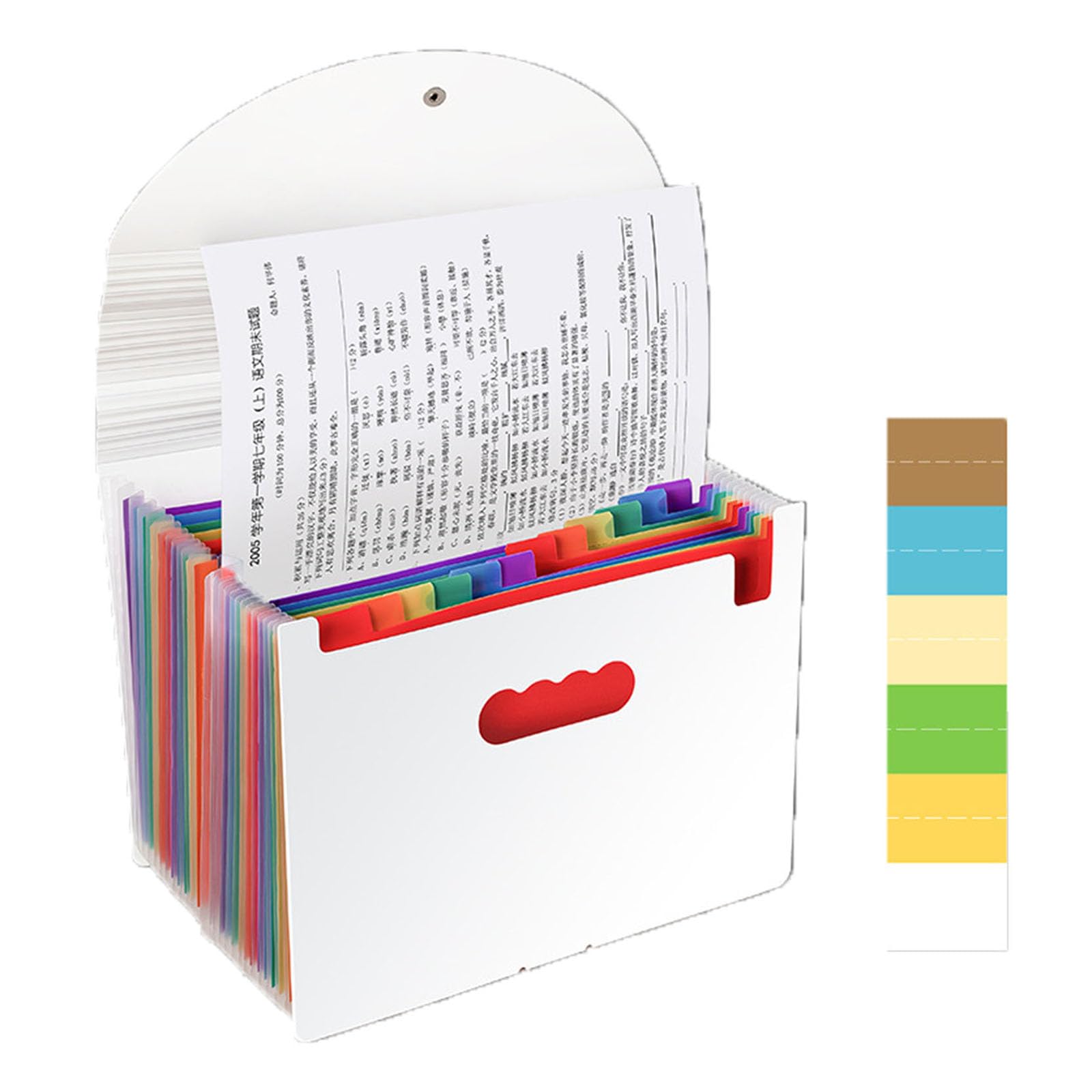 Amazon.co.jp: Document Stand, A4, Document File, 12 Pockets