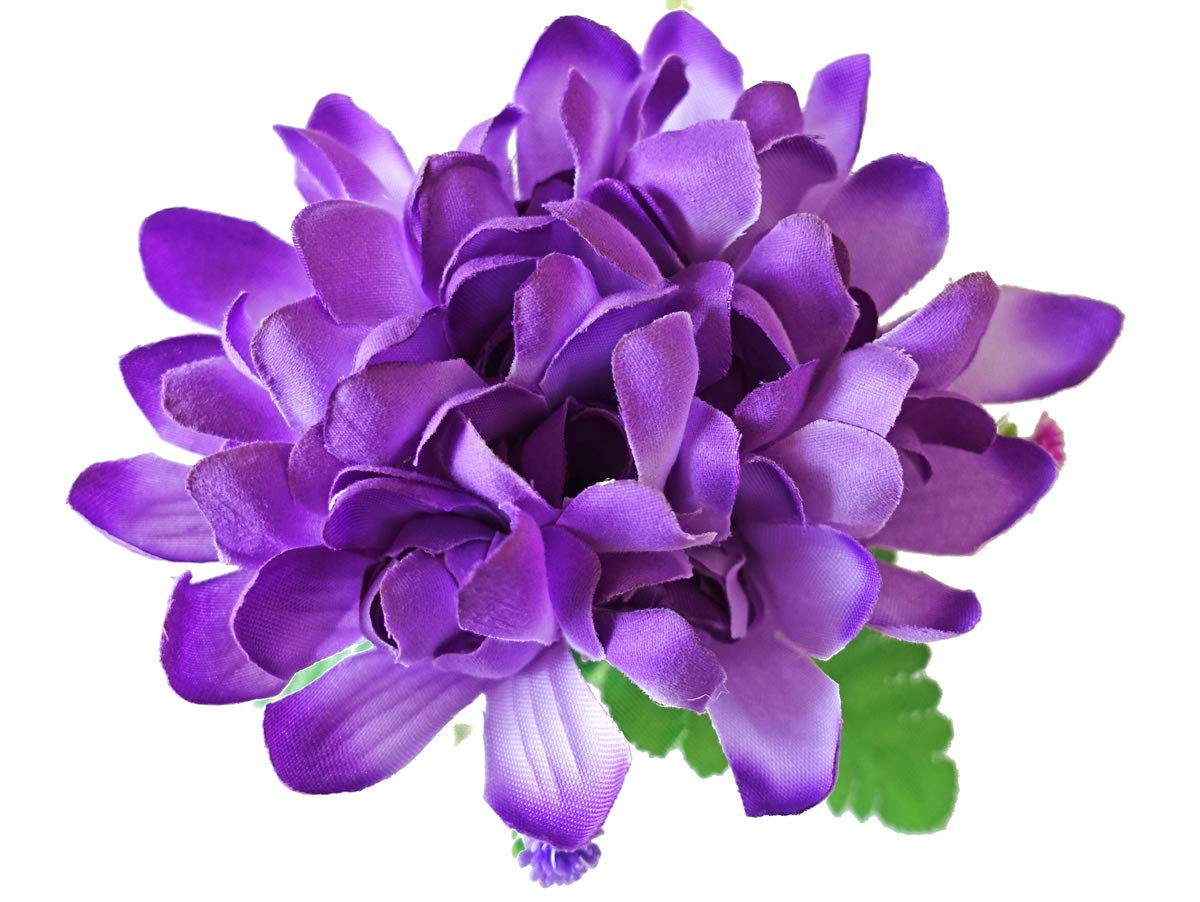 Amazon.co.jp: フラダンス ヘアクリップ チューブローズ 紫