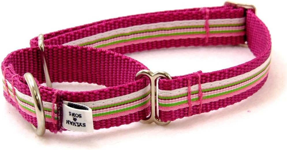 Retro Pink Peppermint Martingale Dog Collar (Lg-1"x21"x34")