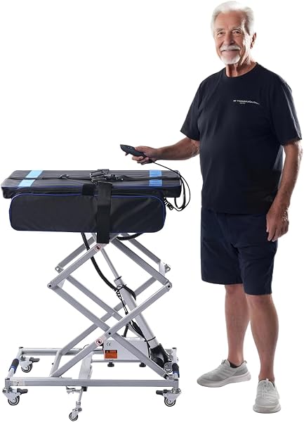 Portable Electric Lift