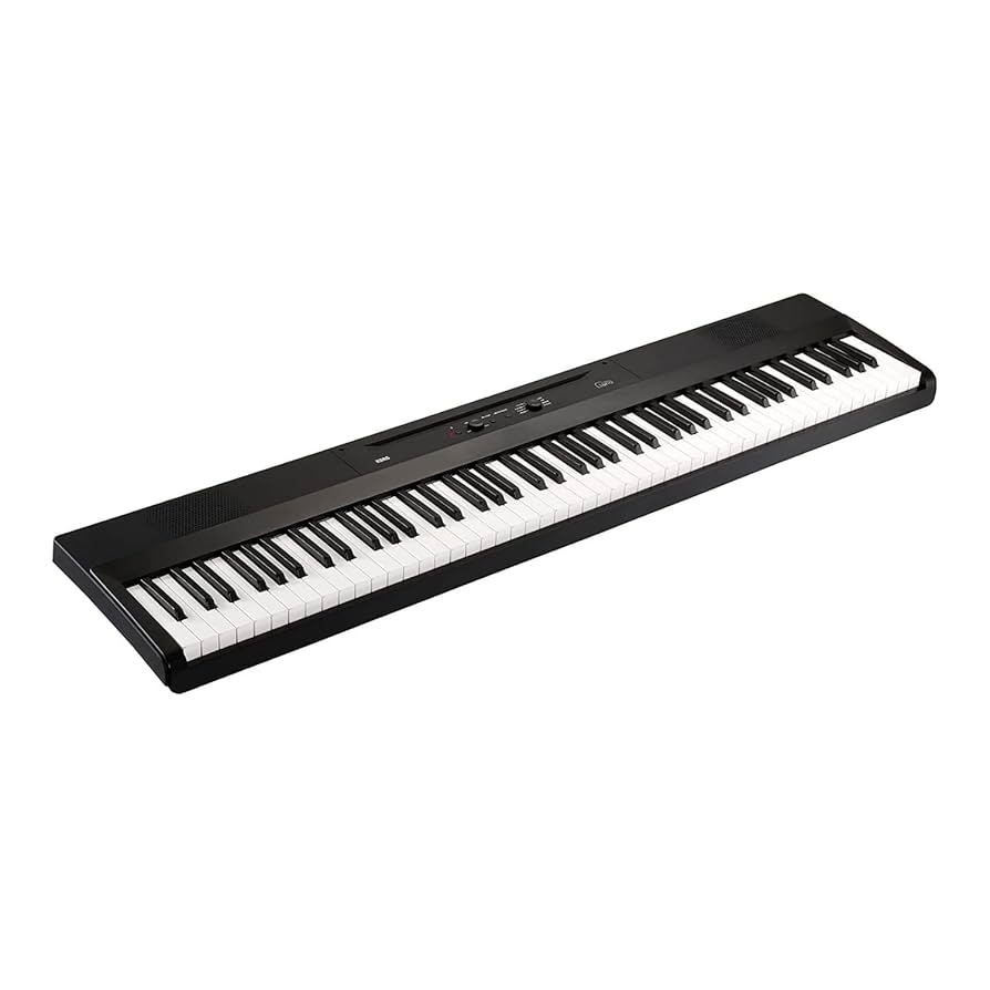 Korg Liano L1 電子ピアノ 88key Amazon.com: Korg Liano Portable 88-key Digital Piano w/ Semi