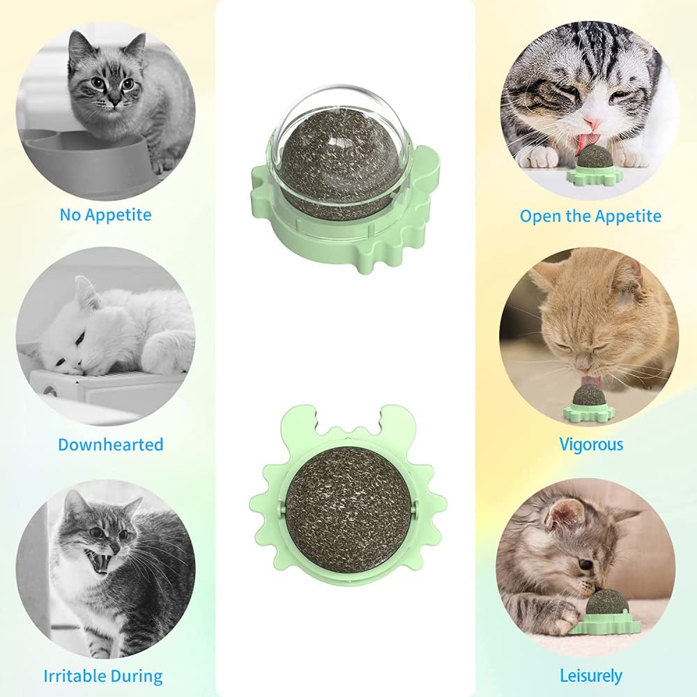 Bälle für Katzen, essbare Kitty Cats Spielzeug Katzenminze Bälle für Katzen Wand rotierende Indoor-Katze Snack Ball für Katze Zähne Reinigung, Katze Wanddekoration (grün/blau/rosa)-Blue