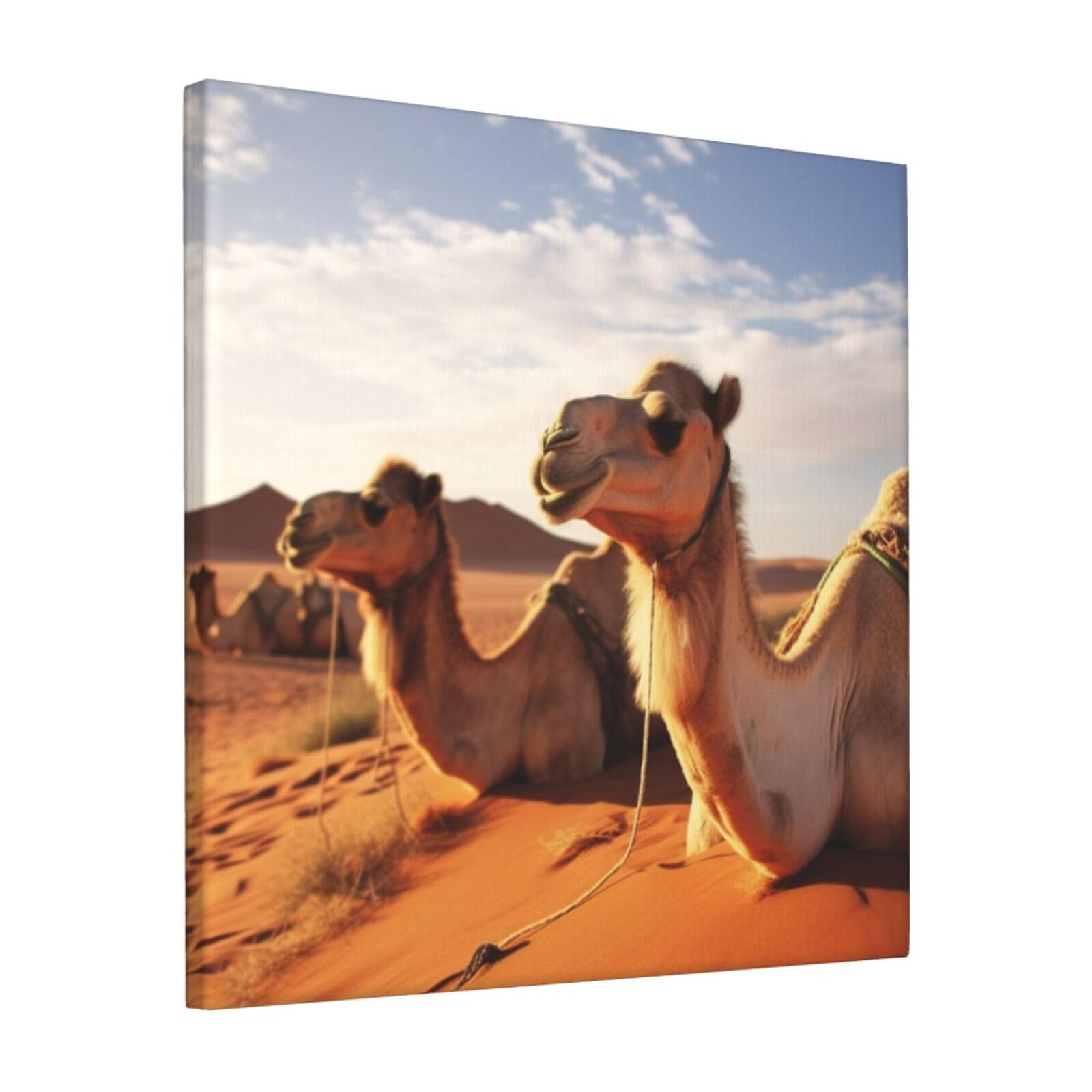 KLOPH Camels Rest Desert Canvas Wall Art for Living Room 12"x12" Modern Artwork Painting for Bathroom Hanging Canvas Prints Aesthetic Wallart for Bedroom Kitchen Office Wall Decor