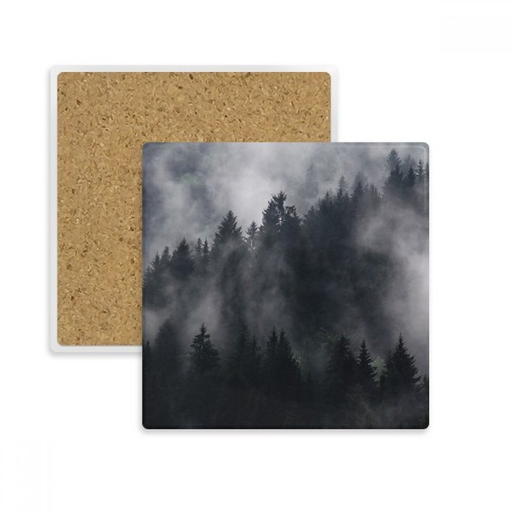 Dessous de verre carré en pierre absorbante brume de montagne lot de 2