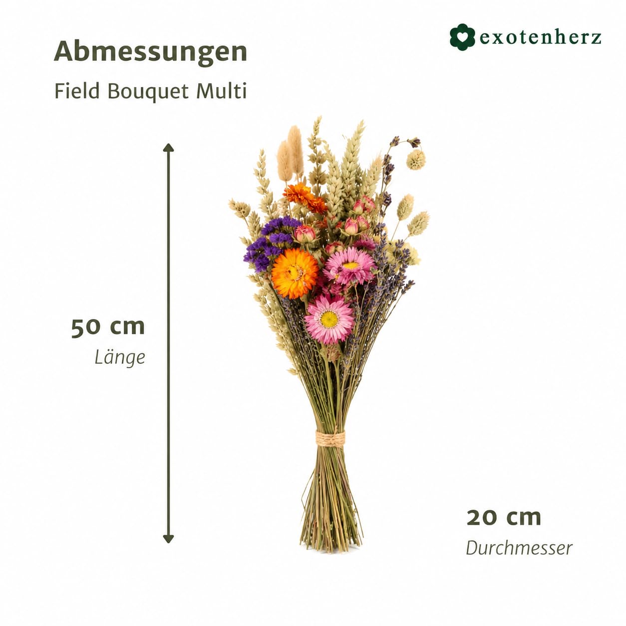 Exotenherz Bouquet de fleurs séchées - Fleurs de champ naturelles - 20 cm