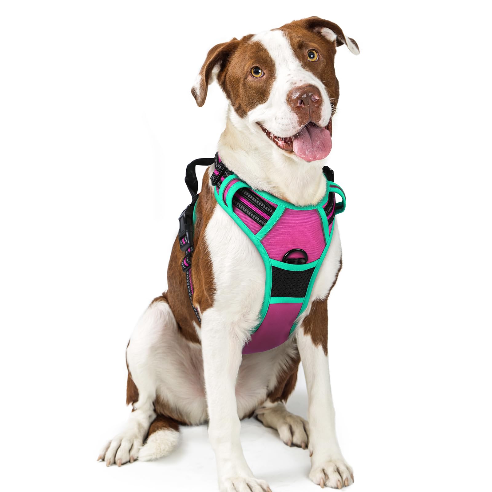 rabbitgoo Dog Harness in Hot Pink & Turquoise