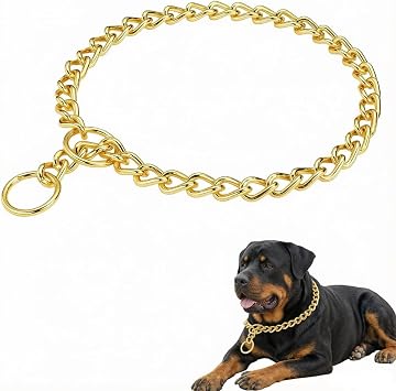 Gold Choker Chain for Dogs Link Training Collar Chain Dog Choke Pet Metal Slip Puppy Martingale Collars for XXS XS Small Medium Large Big XL Breed Dogs M