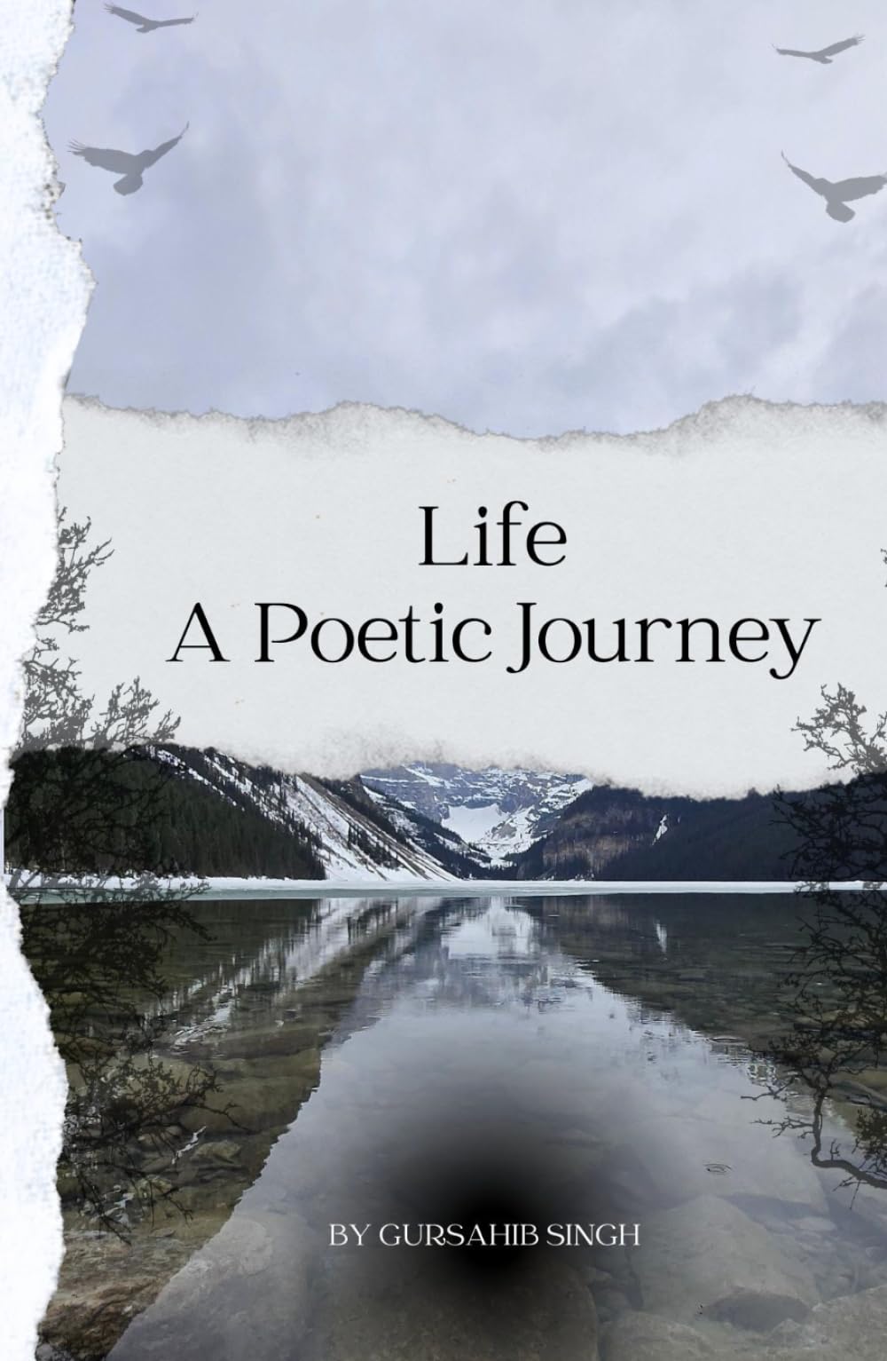 Life: a Poetic Journey