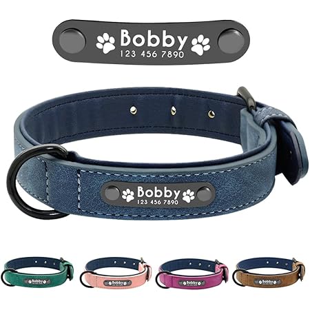 paracord dog collar with nameplate