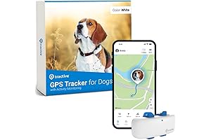 Tractive GPS Tracker: Keep Your Puppers Safe and Close