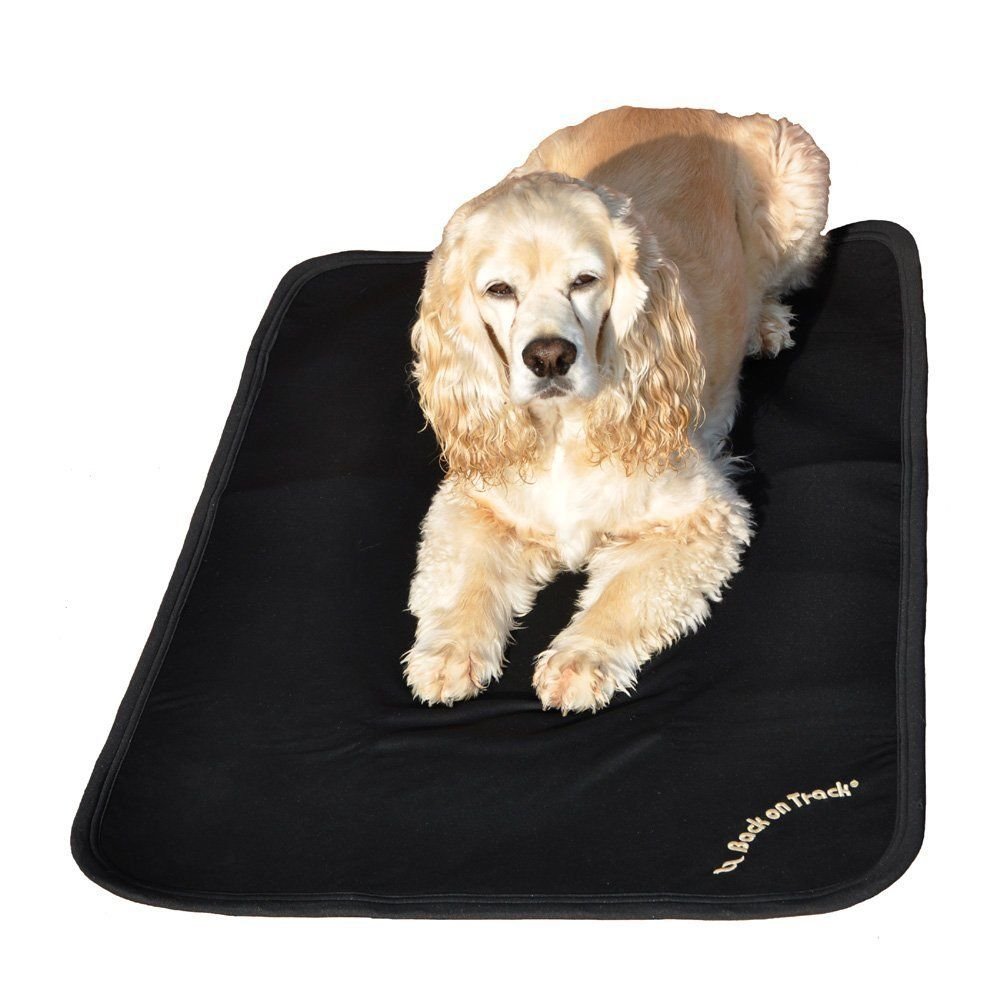Back on Track Dog Mattress Cage (X-Large (47.25" x 29"))