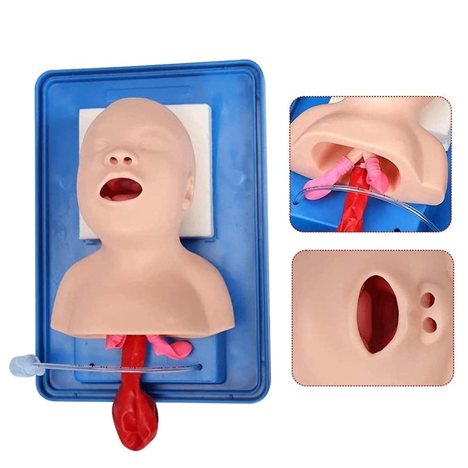 Newborn Baby Intubation Manikin,Teaching Baby Model Lab Airway Management Trainer Intubation Manikin Medical Study