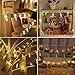 20 LED Photo Clip String Lights, KingYue 8 Modes Fairy String Lights with Remote & Timer Function, Home/Party/Christmas Decor Lights for Hanging Photos Pictures, Cards, Memos and Artwork, Warm White
