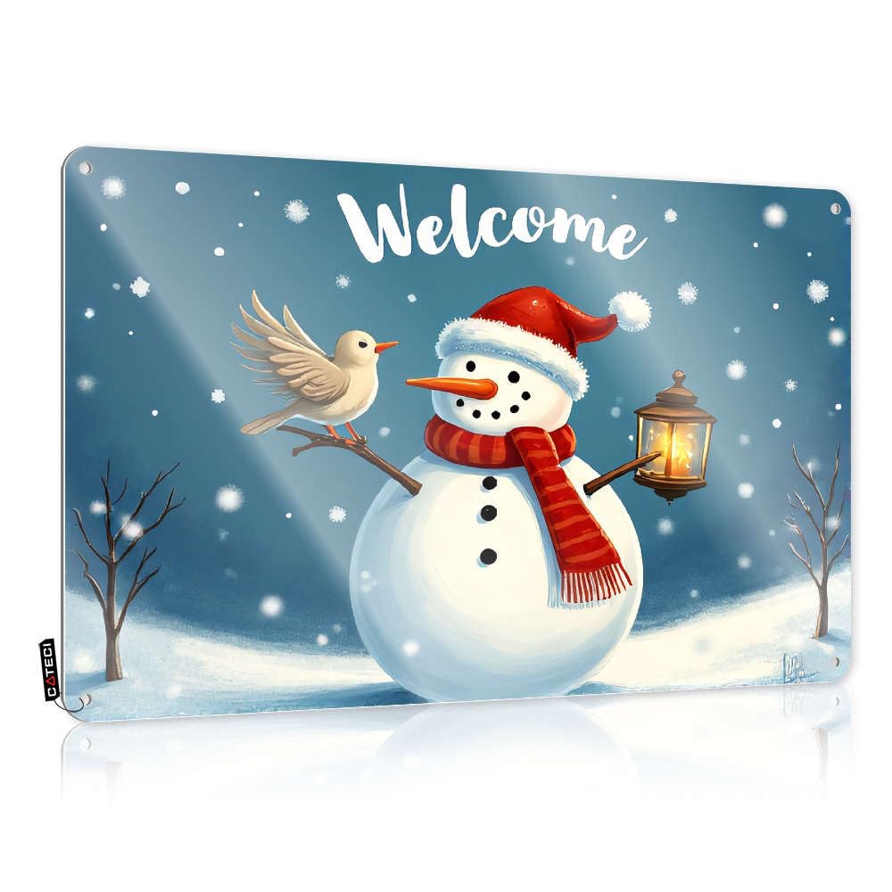 A Snowman Holding A Lantern With A Bird On Its Nose. Gift For Gamer Awesome - Tinsign Decoration Wall Art Decoration(30X40CM)