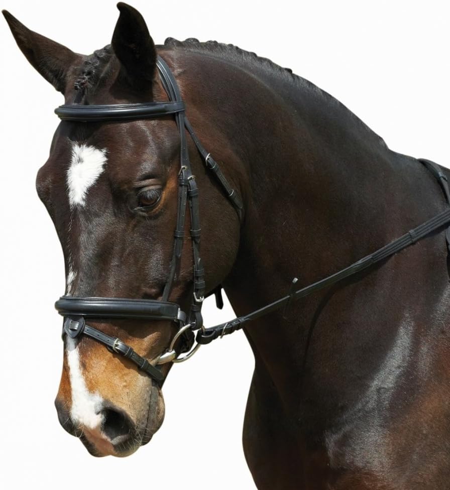 Collegiate Comfort Crown Padded Crank Bridle Warm