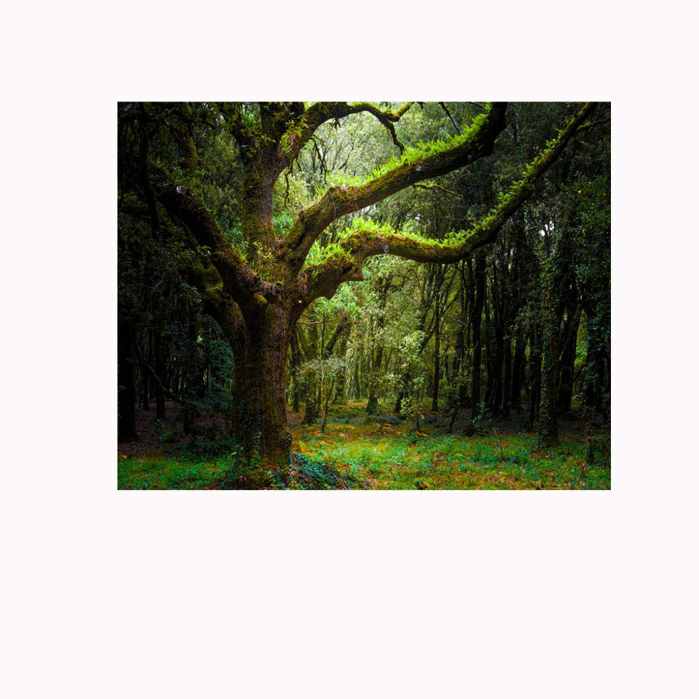 Fotomurales Bosque psicodélico 200x140cm Decoración de Pared decorativos Murales moderna de Papel Pintado Sala Living Oficina Dormitorio