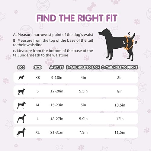 Miniatura 6 de COCOYO Pañales desechables para perras, pañales para perras, pañales para cachorros, súper absorbentes, transpirables, indicador de humedad (L, 60)