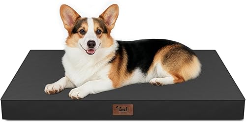 Miniatura 70 de Cama Ortopédica para Perros de Exterior para Perros Medianos y Gatos, Tapete Plano Impermeable para Mascotas con Espuma de Caja de Huevos y Funda