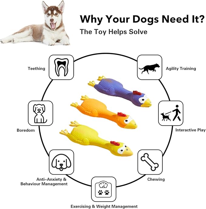 Pack de 3 Juguetes de Goma para Perros con Sonido - Pollo Chirriante miniatura 2