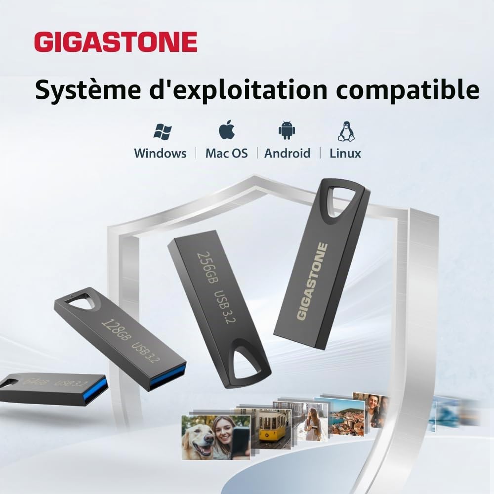GIGASTONE 256Go Slim Fit Clé USB Flash, Z70 USB 3.2 Gen 1, 100Mo/s Ultra Rapide, Design Métal Nickel, Stockage et Sauvegarde pour PC/Mac/TV/Voiture, USB 2.0/3.0/3.1 Compatible