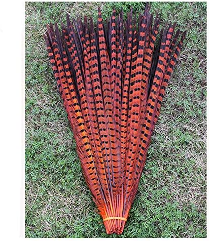 BULZEU 10Pcs Pheasant Tail Feathers for Craft or Decoration