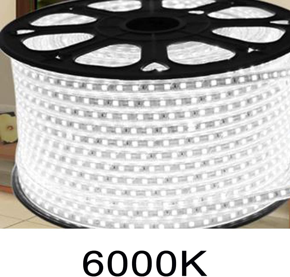 MUNDDY®- TIRAS DE LED MANGUERA LUZ 120 Chips/Metro SMD2835 Potencia 11W/M 3000K 4000K 6000K 220V Para INTERIOR Enchufe Incluido ALTA ILUMINACION (20 Metros, 6000K Blanco Frío)