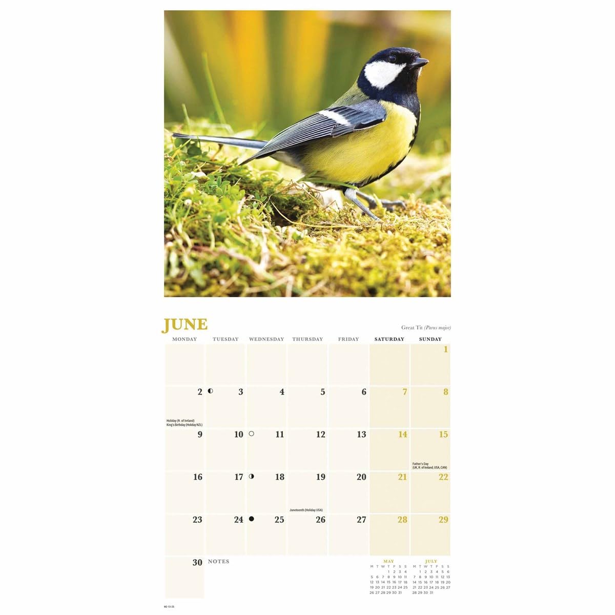 British Garden Birds Mini Wall Calendar 2025 (PFP) - BigaMart