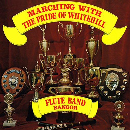 Top 10 Best Flute For Marching Band Reviews & Buying Guide Katynel