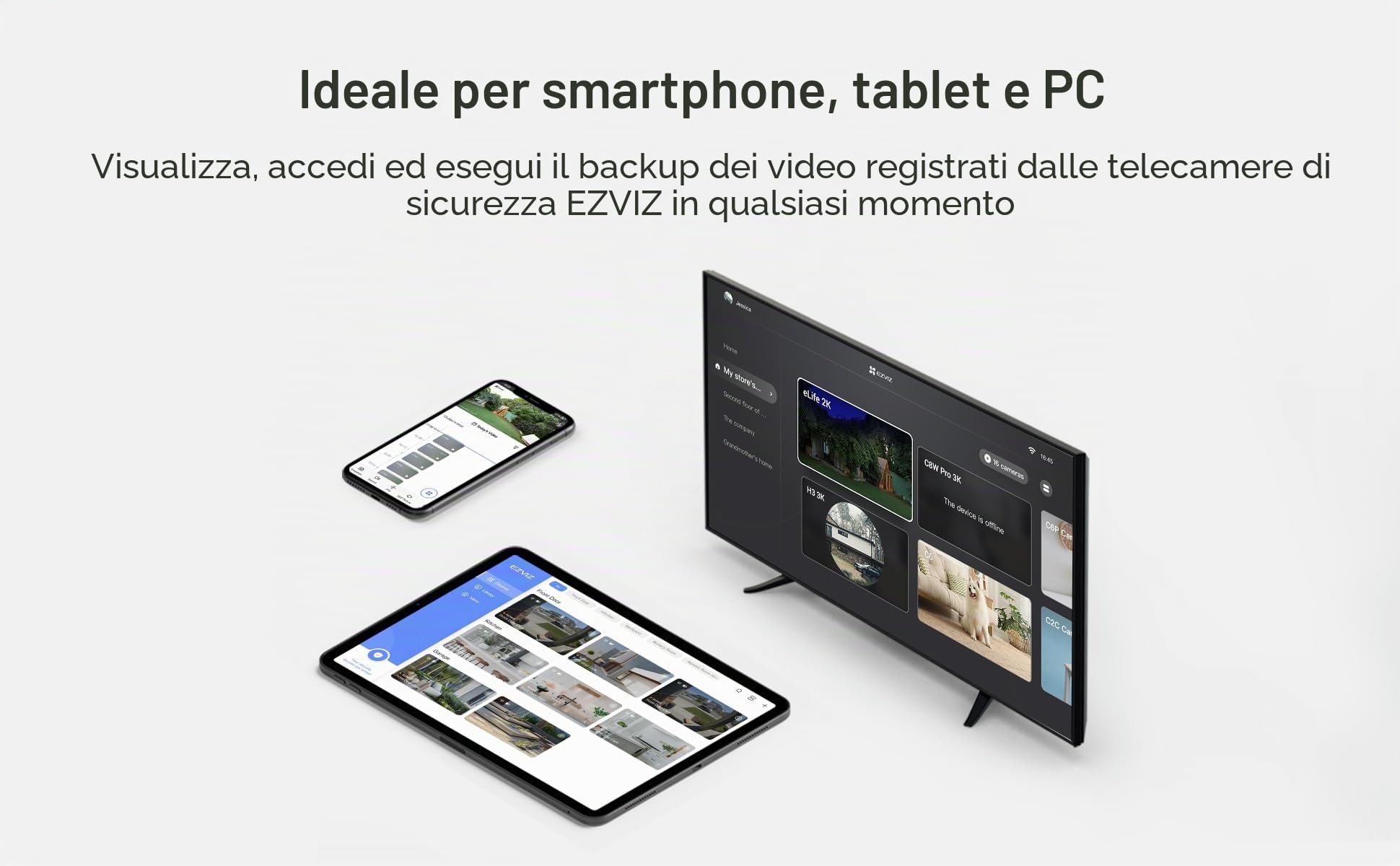EZVIZ Scheda di memoria Ultra Micro SDXC classe 10, 256 GB, compatibile con telecamere di sicurezza EZVIZ (scheda SD da 256 GB