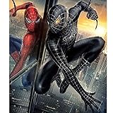 DIY Diamond Painting Kit for Adult Spiderman Series Full Diamond Crystal Rhinestone Embroidery Art Craft Home Wall Decoration Painting Frameless (Spiderman1, 3040cm)…