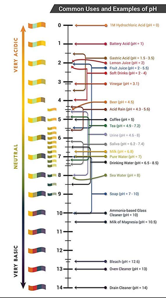Hanchen Tiras de prueba de pH 10000 ct Pruebas de niveles alcalinos y ácidos de tu cuerpo corporal Monitorea y monitorea tu nivel de pH usando saliva y orina (pH 1-14) (100 paquetes)