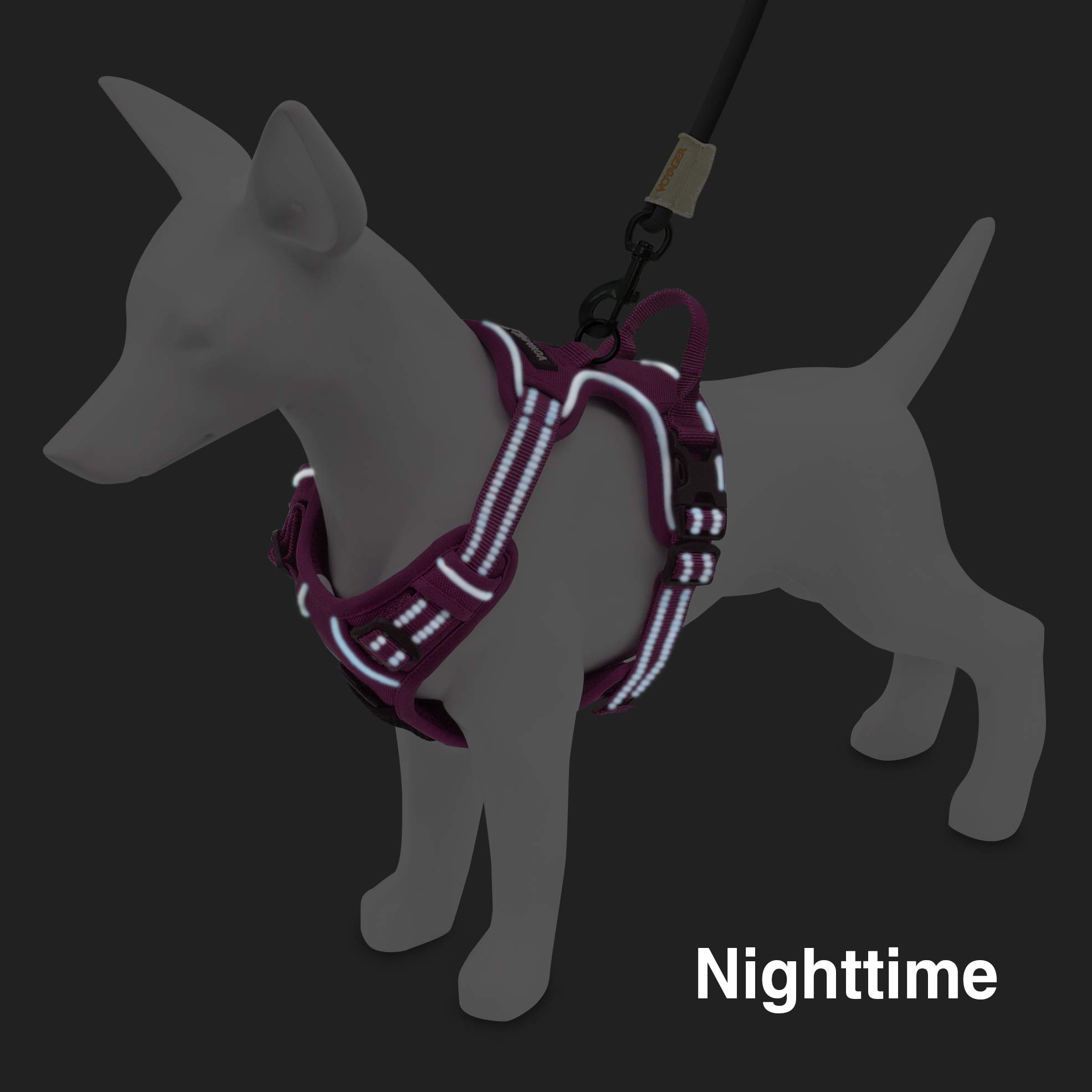 Voyager Dog Harness Dual Leash Attachment No-Pull Control Adjustable Soft but Strong Pet Harness for Medium and Large Dogs with 3M Reflective Technology, Fuchsia Nylon, S (Chest: 16-20")