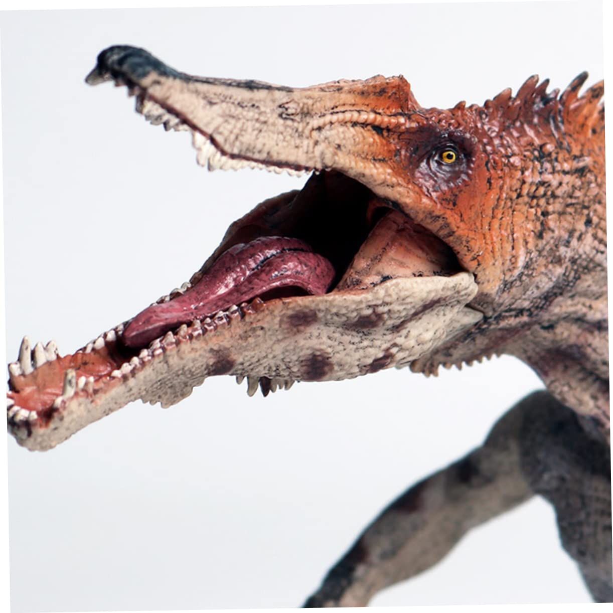 1 Pz Baryonyx Educativo per Design Realistico e Chic per Feste Compleanno e Decorazioni