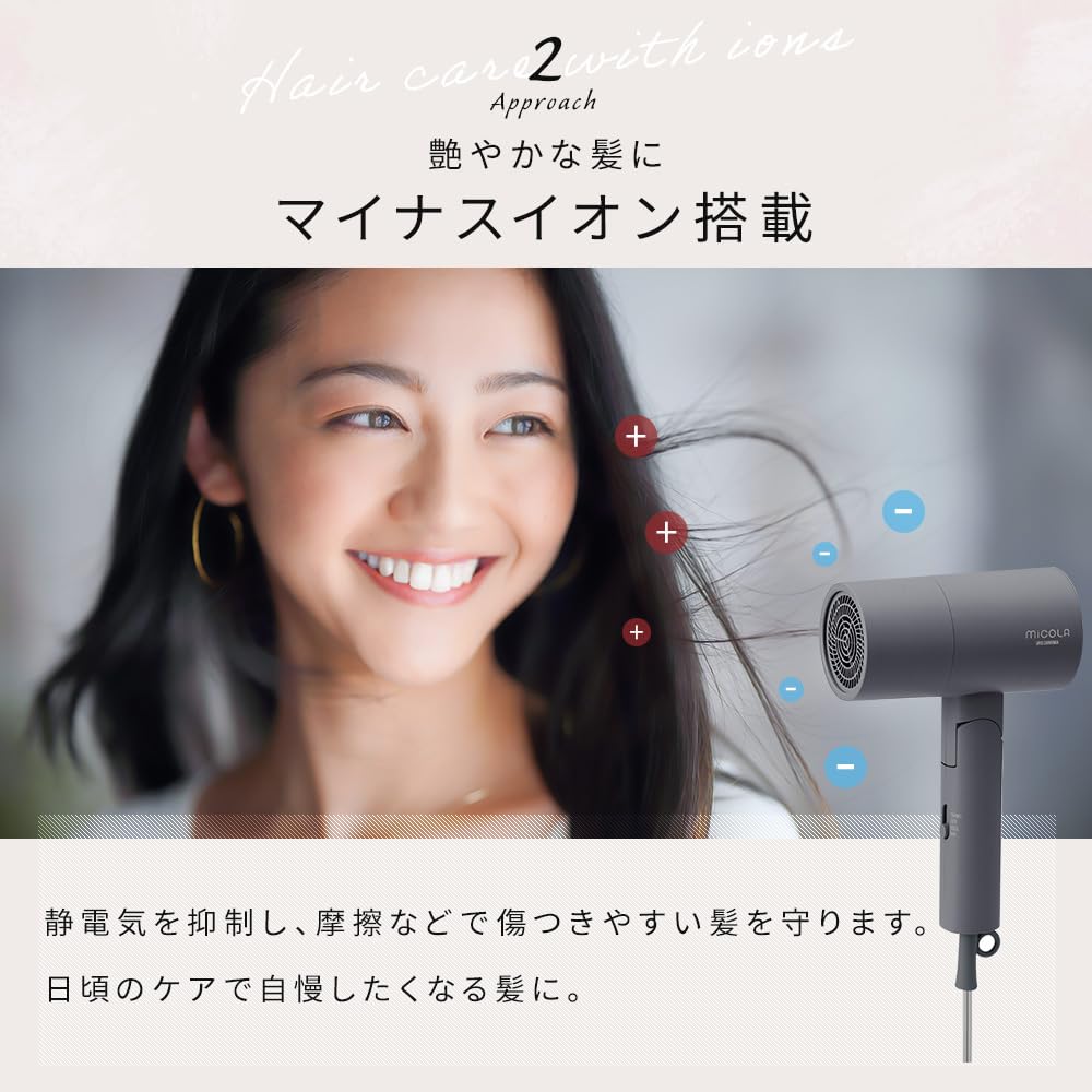 Amazon.co.jp: IRIS OHYAMA MICOLA Hair Dryer, High Airflow, Quick