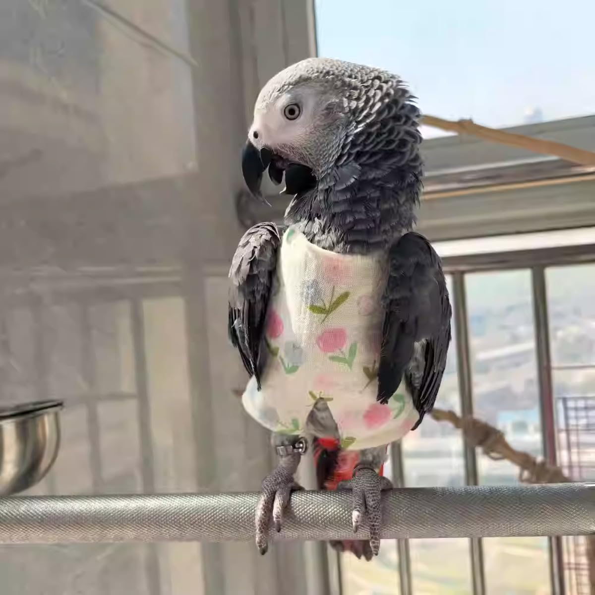 Bird Clothes - Cute Jumpsuit Costume for Parrots African Greys Parakeet Cockatiel Conure Birds Apparel Bird Supplies (B,Sulphur-Crested Cockatoo)