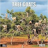 RED EMBER Tree Goats 2022 Hangable Wall Calendar - 12' x 24' Opened - Thick & Sturdy Paper - Funny...