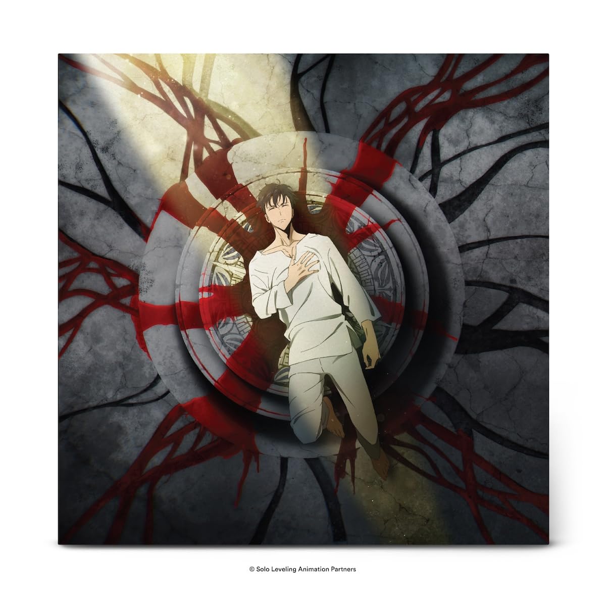 Solo Leveling Anime Soundtrack, 2 Records, Collectible Artwork