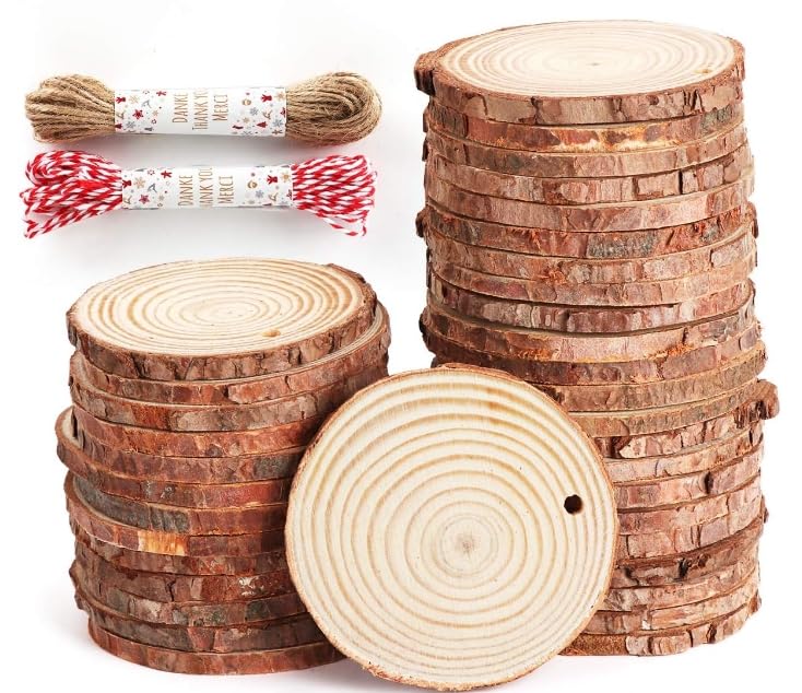 Natural Wood Slices for Crafts Round Wooden Discs with Holes Hanging Rope Unfinished Log Slices Predrilled Wooden Circles (24Pcs 9-10cm)